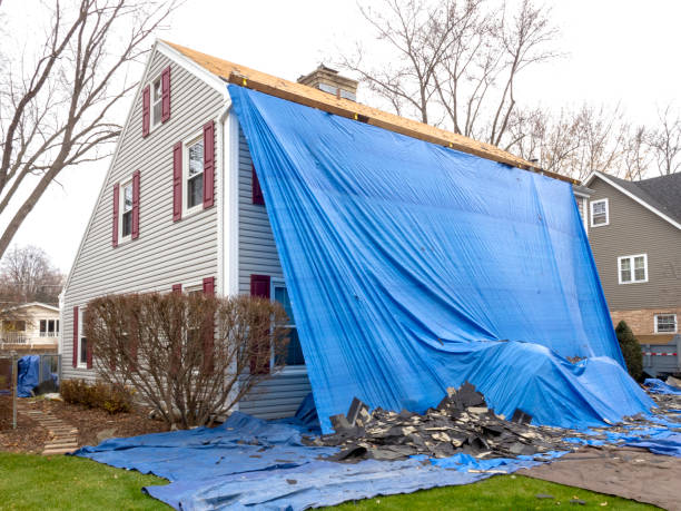 Best Shed Removal  in Hampshire, IL